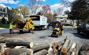Best Hazardous Tree Removal  in El Verano, CA